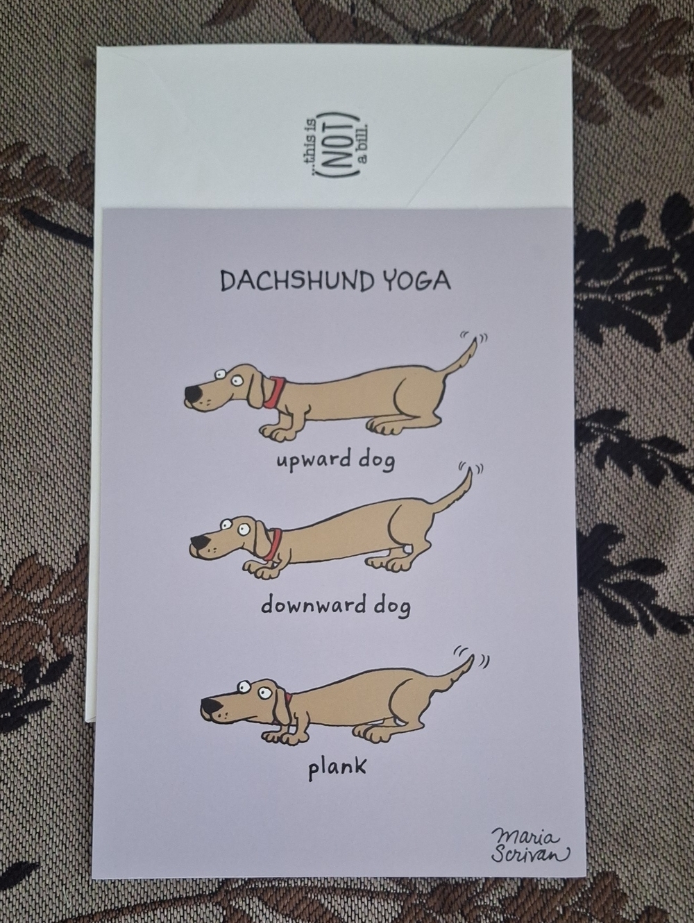Paper Greetings Card Bundle - Picture 2 of 4